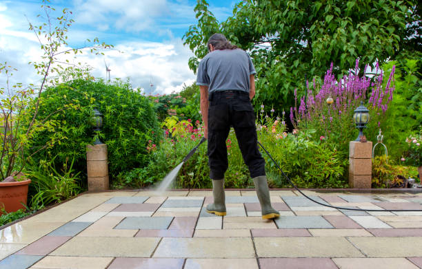 Best Animal Enclosure Cleaning  in West Fargo, ND